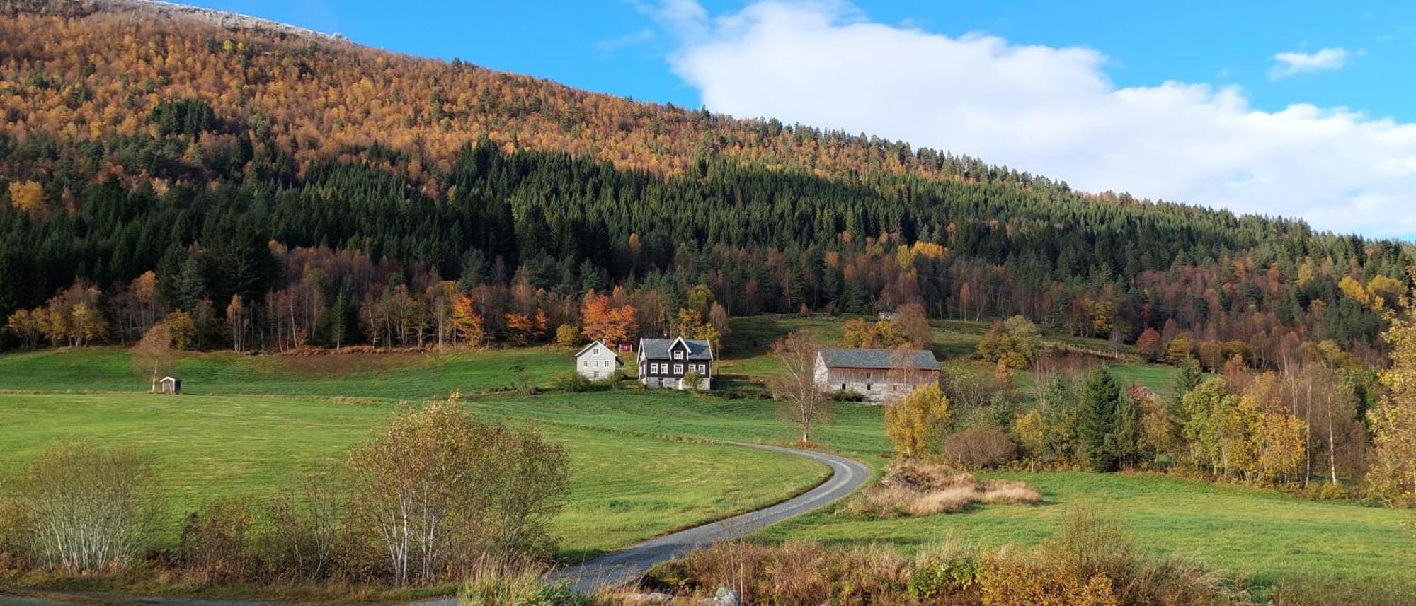 Heggjabygda Gjestegard - Historisk Tommerhus I Landlige Omgivelser Farm stay *